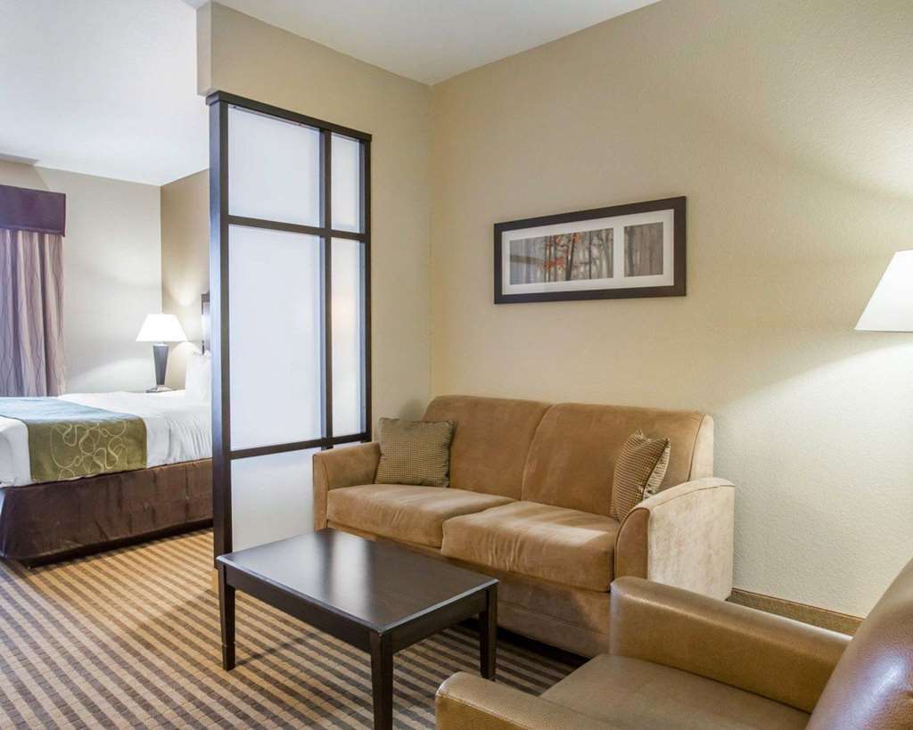 Comfort Suites Mcdonough Atlanta South Room photo